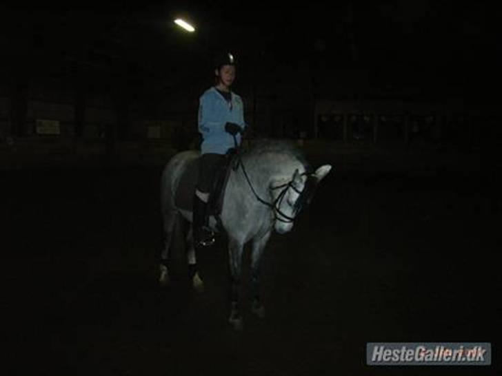 Anden særlig race Chanel * SOLGT * R.I.P :( billede 7