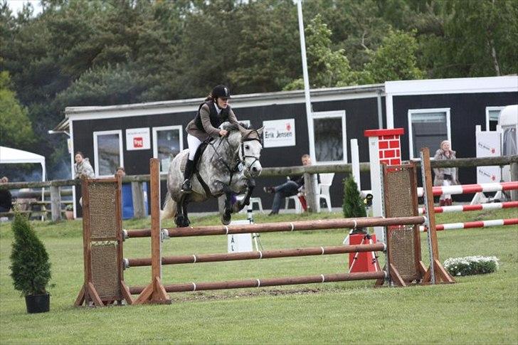 Anden særlig race Lukas - Jeg ville ønske hutten sad ordentligt på det her billede :/ billede 10