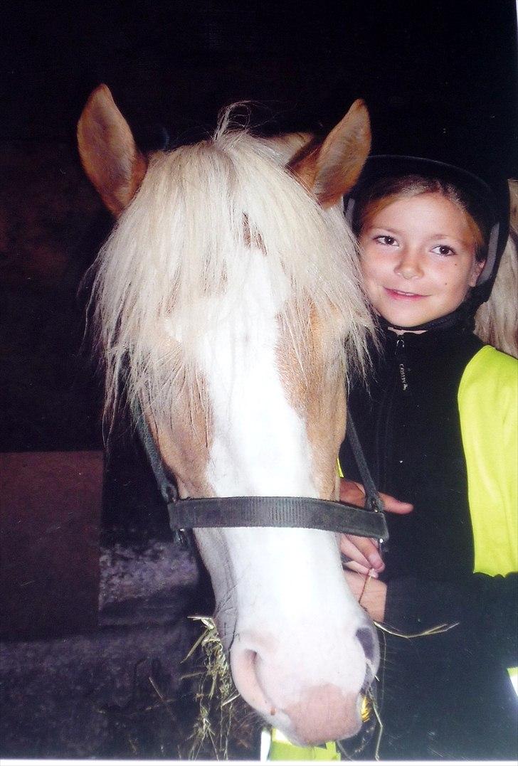 Haflinger Freja - Første gang jeg så Freja.. 16 September 2005 :-) En 4 år gammel dame. billede 17