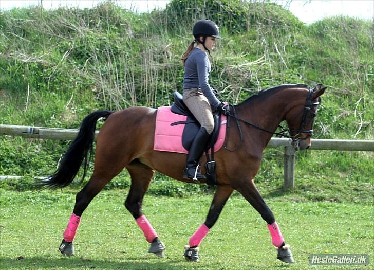 Anden særlig race Jessie Z (GAMLE PART )RIP - Hygge på spring banen d. 2 maj 2010. A FOTO billede 7