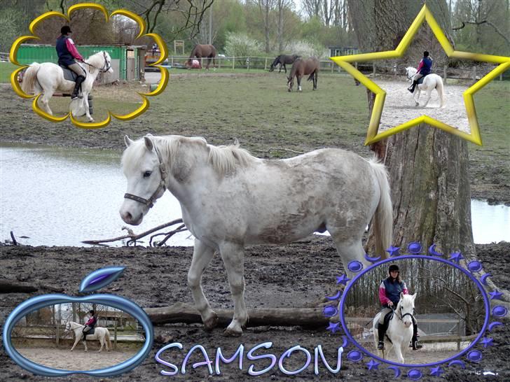 Welsh Pony (sec B) Samson (for altid savnet) - Har selv Lavet Billedet Irl men ik mig der har taget det men jeg synes jeg er meget god af nybegynder at være :) SAMSON savner dig utrolig. DU vil altid være min Frække Trold <3 :´D billede 18
