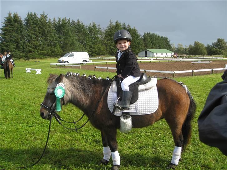 Shetlænder Lotte - Alexander & Lotte Skæve 2009 billede 17