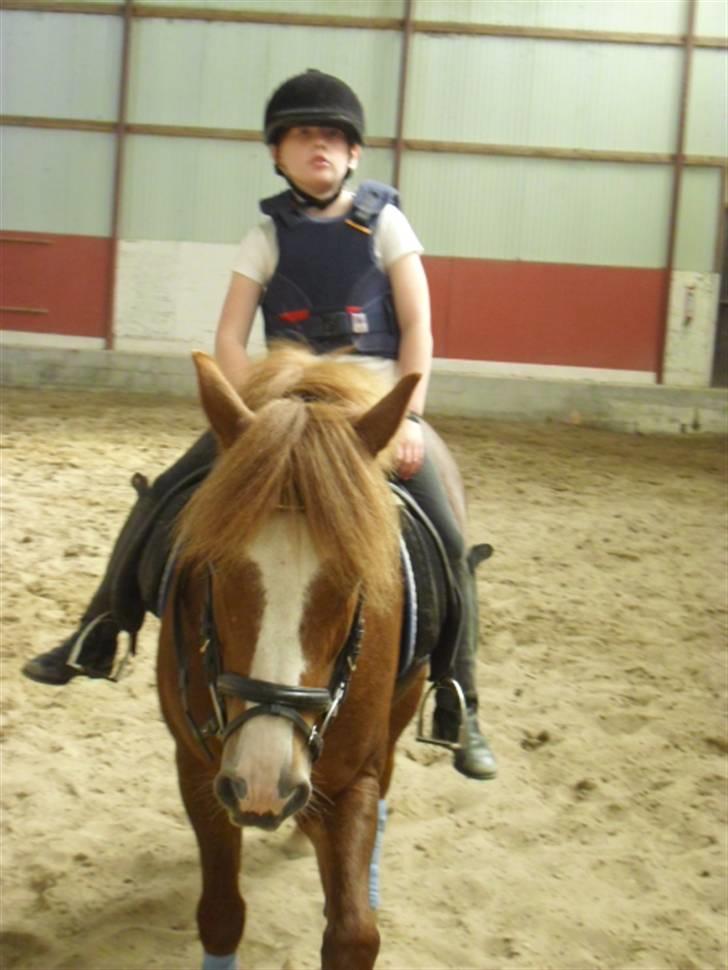 New Forest Roløkke Andes billede 16