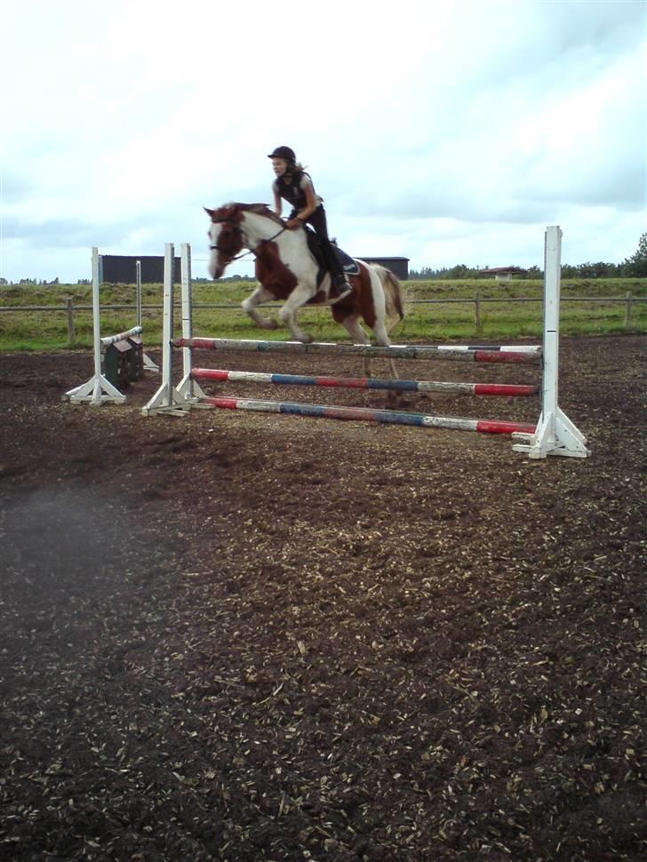 Pinto Boogie - Vi har styrke vi har mod vi har spring i vort blod <3 (Foto: Jeanette) billede 4