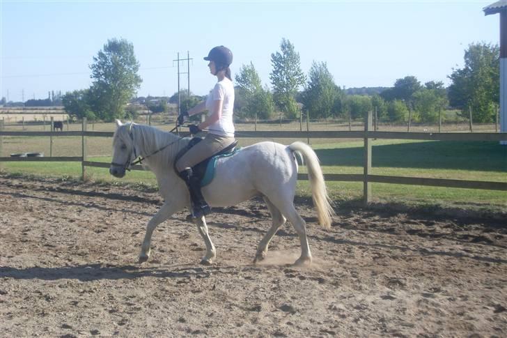 Anden særlig race Kasmir - D.19 september Kasmir og mig, Trav billede 7