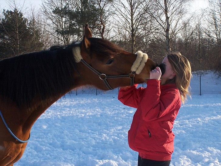 Anden særlig race » Akacie »Elsker dig <3 - 7) Min drøm gik i opfyldelse! Du var bare på FANTASTISK! :´( <3 billede 7