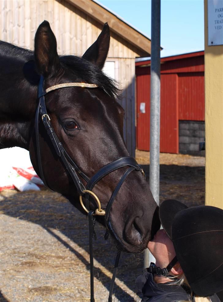 Anden særlig race Sirena - Solgt ! - :)  billede 5