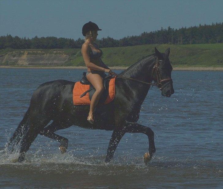 Anden særlig race Sirena - Solgt ! - Ved stranden sommer 2010 (: billede 14