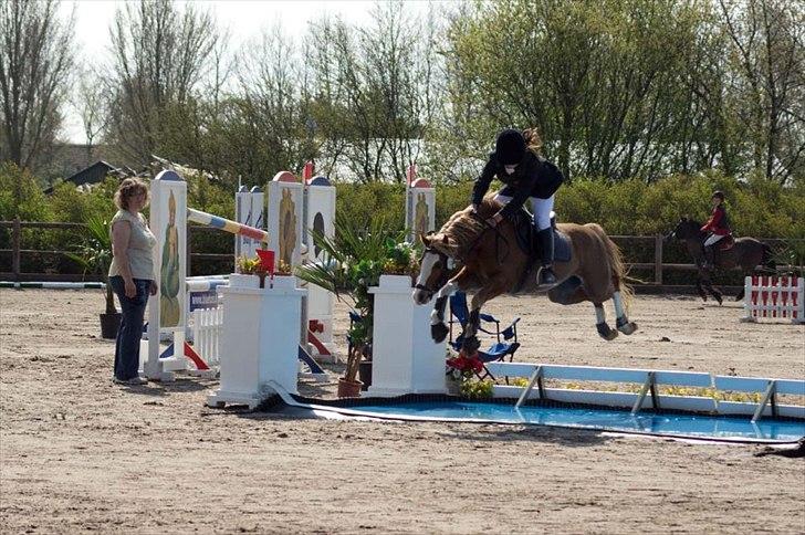 Welsh Pony (sec B) CeltonAristides *solgt* - Celton&jeg springer vandgrav fejlfrit :D<333 billede 11