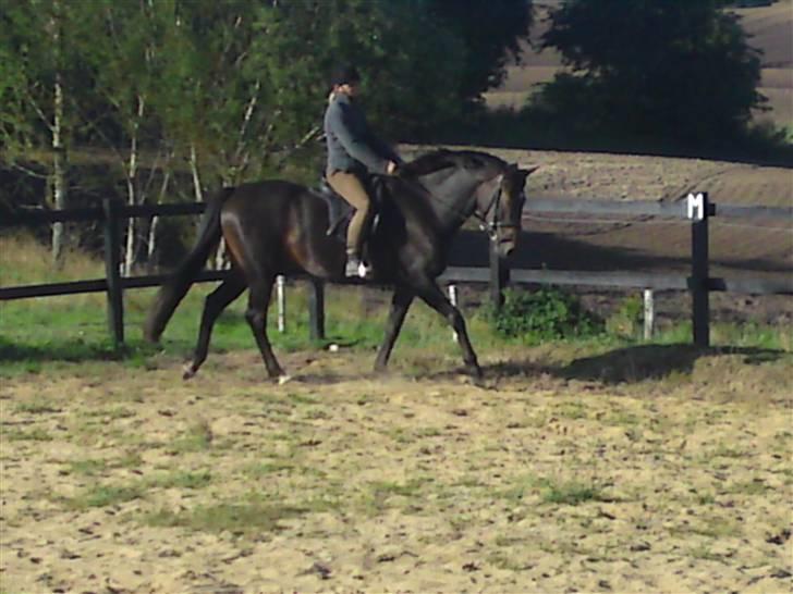 Anden særlig race Joker(min mors) R.I.P - Her er hun igen billede 16