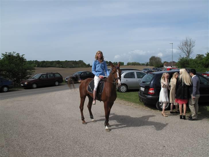 Hollandsk Sportspony Charléne *tidl. hest - til min konfirmation :-D  billede 16