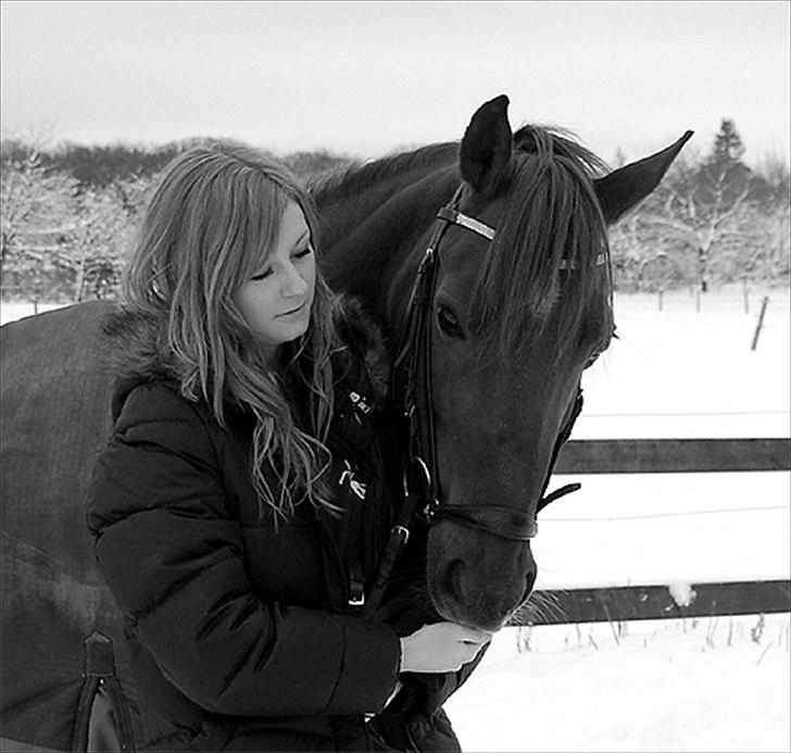 Welsh Cob (sec D) Menai On A Promise <3 - Os to <3 Der går ikke én dag, hvor jeg ikke tænker på dig.. - Taget af min mor billede 20