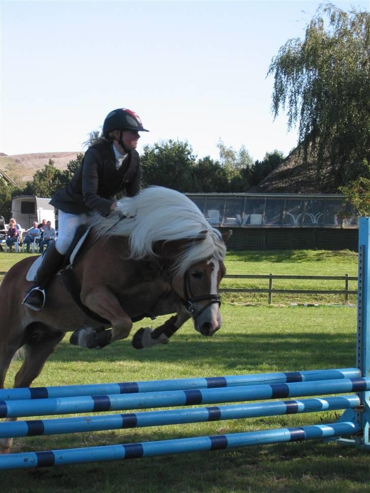 Haflinger Skelgårdens Aslan HINGST - Aslans og Malou´s første stævne - nr. 2 i LD billede 13