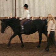 Anden særlig race Monique