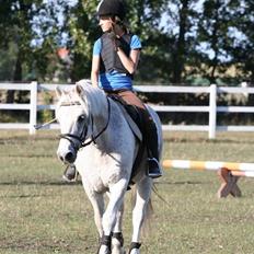 Connemara Skatholm Surf Rider
