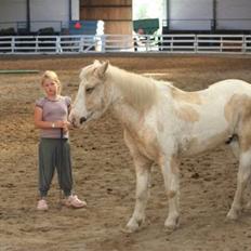 Anden særlig race Icey<33 ( rider )