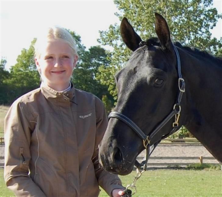 Tysk Sportspony Westendorf Harmonie *B-Pony* - I skal IKKE kigge på mig, ser vildt dum ud !:) Kig hellere på Hamse!:D  billede 18