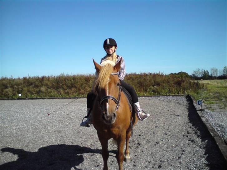 Anden særlig race Lukas  billede 12