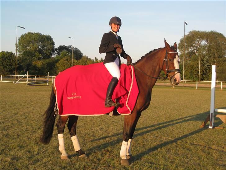 Dansk Varmblod Lavet - Springhesten vandt dressur klubmesterskab billede 11