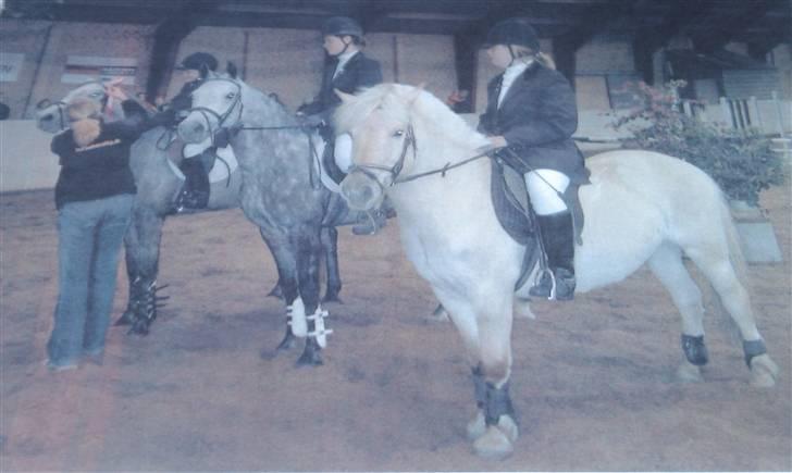 Fjordhest Tyson R.I.P - sov sødt. - Til stævne i Hinnerup, fik en 3. plads i spring :) billede 13