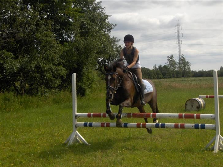 Anden særlig race lady billede 5