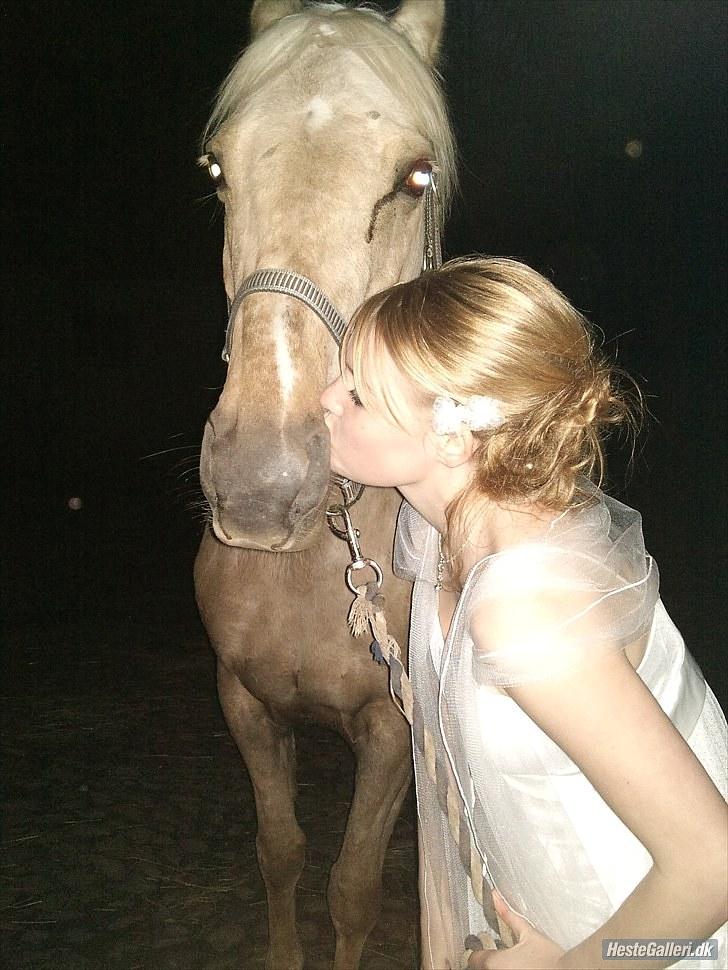 Palomino Frønsen - Velkommen til Frønsens og min profil <3 billede 1