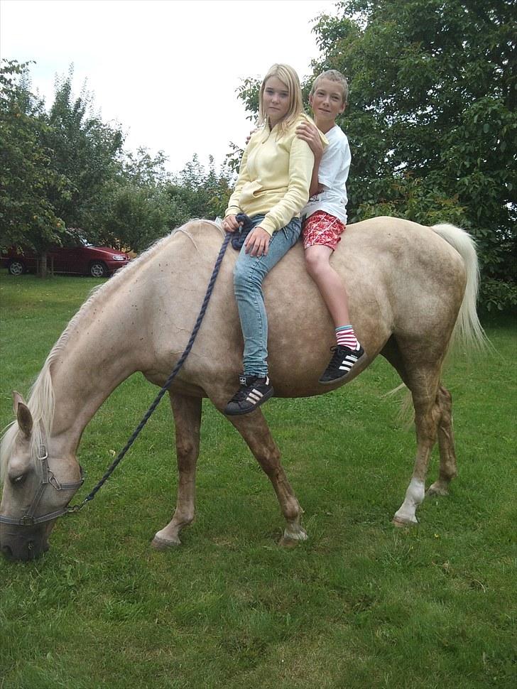 Palomino Frønsen - hehe mig og Arthur på hest<3 det var så sjovt den dag:)<3  billede 2