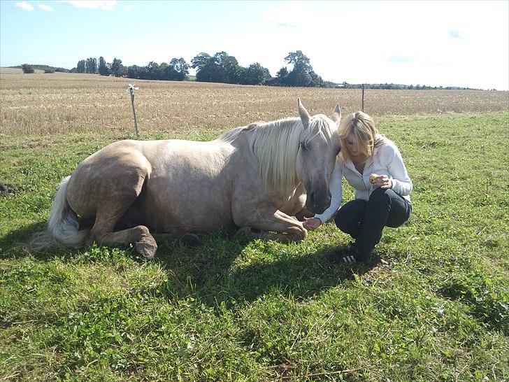 Palomino Frønsen - hvor vi bare hygger os<3 billede 4