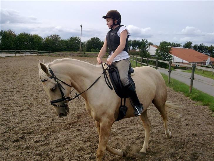 Palomino Frønsen - det er bare livet hehe<33 billede 5