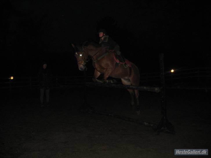 Anden særlig race Zarahby  - springtræning d. 3. dec. foto: tillo billede 7