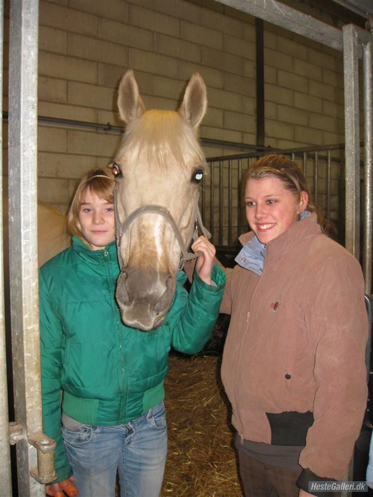Palomino Frønsen - det er amande der har redet på Frønsen også.... det var den gang jeg var ude og hilse på Frønsen og amanda :) billede 17