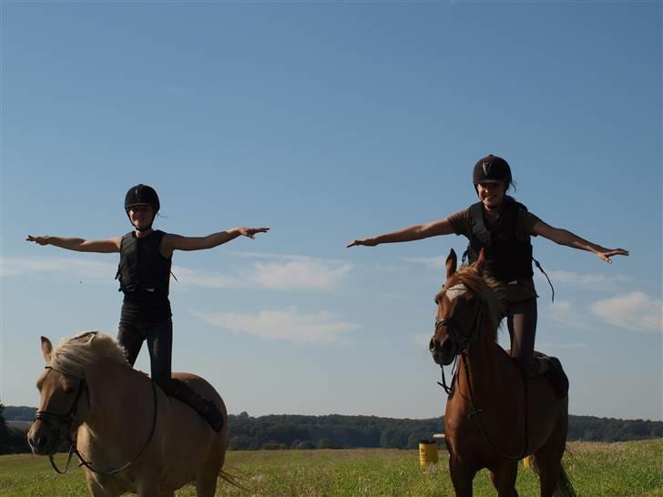 Hollandsk Sportspony Charon R.I.P d.1/3-11 - ***NYT*** Nanna på Shina og mig på Charon der ligger på knæ på hesten mega hygge dag<33 billede 8