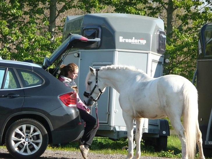 Connemara Skatholm Surf Rider billede 1