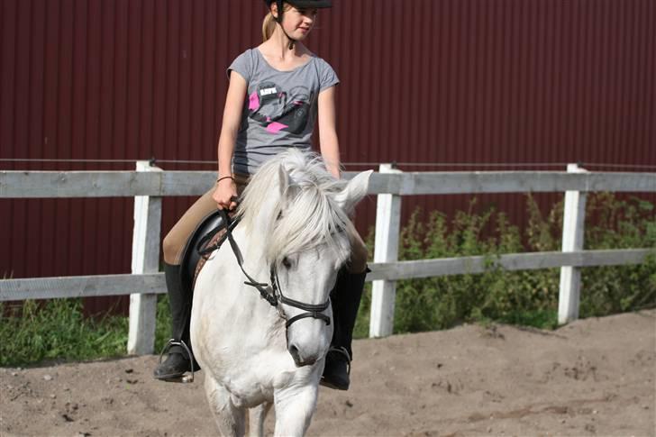 Connemara Skatholm Surf Rider billede 2