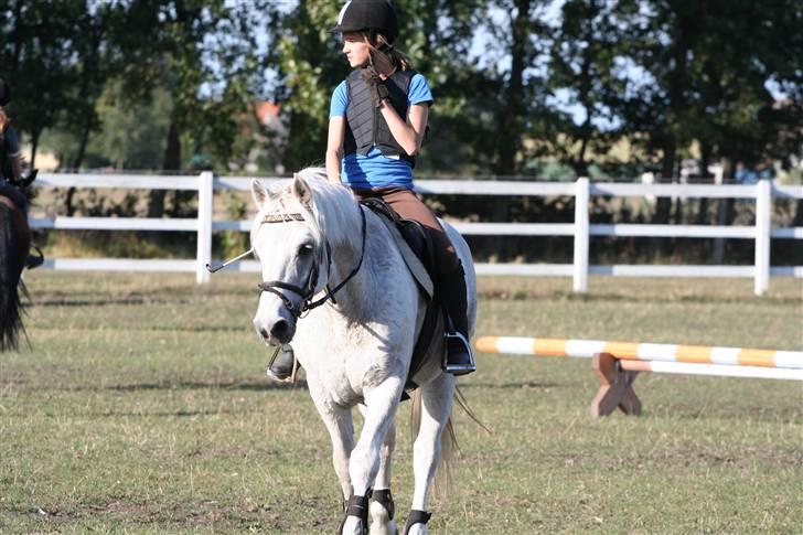 Connemara Skatholm Surf Rider billede 3