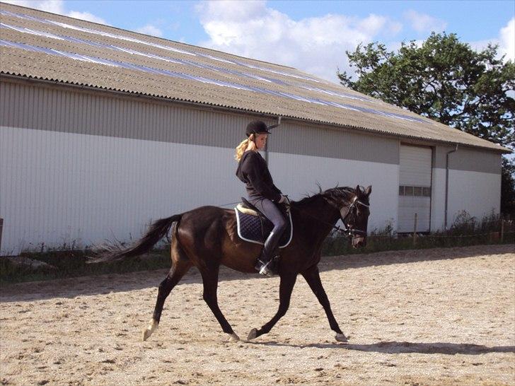 Anden særlig race Kasmir  - A cirkle is raound, and has no end, thats how long I'll be your friend.


1 år sammen <3  sommer 2010.. .foto: Louise  billede 5