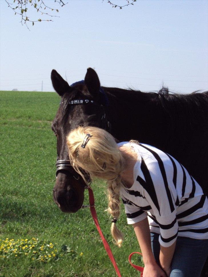 Anden særlig race Kasmir  - Et hjerte kan slå, et hjerte kan briste, en ven kan man få, en ven kan man miste, men i mit hjerte er du gemt, for en ven som dig bliver aldrig glemt! <3

 -forår 2011 foto: mor billede 6