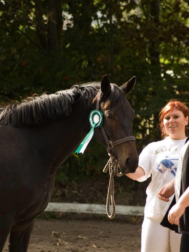Oldenborg Horsmarks Farinella SOLGT - Nella med Oca´s roset :P billede 14