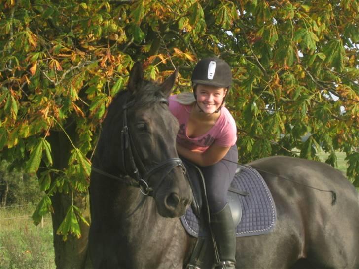 Anden særlig race Casmir <3RIP13 - smukke mig i efterårs farver  billede 17