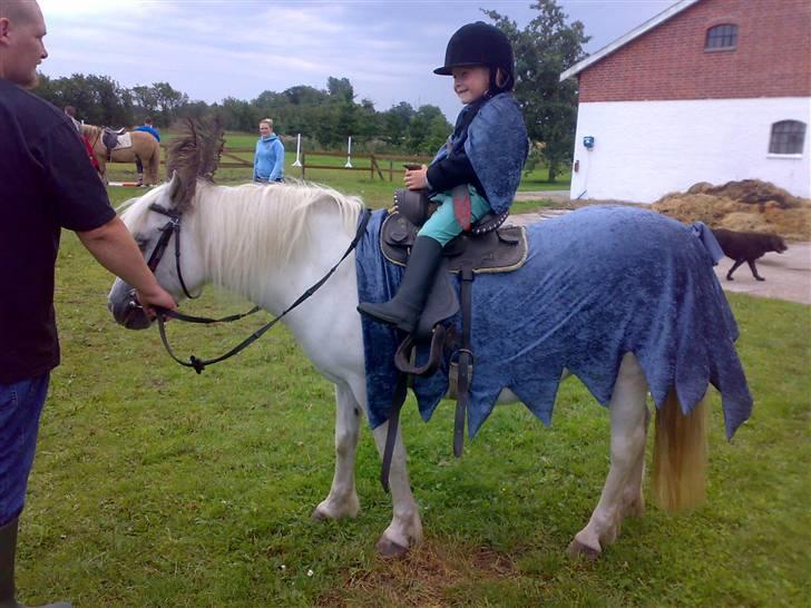 Anden særlig race Nuggi - Min lillebror Aleksander til udklædningsdressur på Nuggi. billede 7