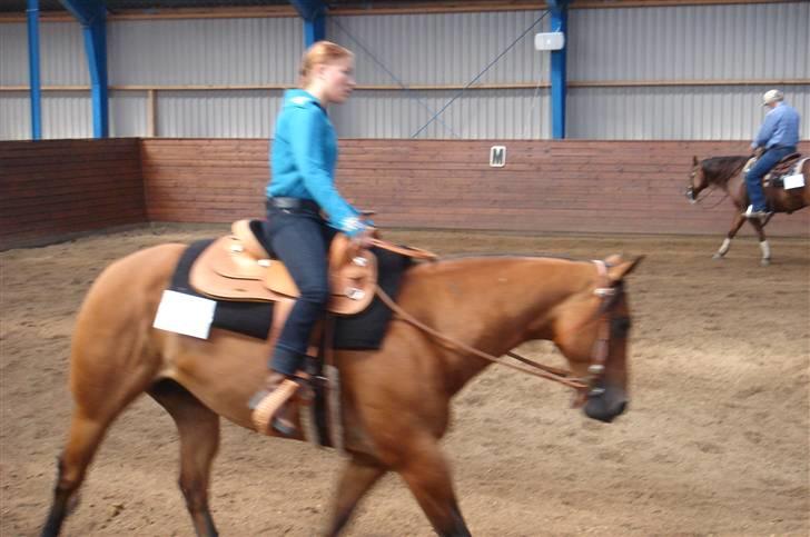 Quarter Our Mr San Fritz billede 6