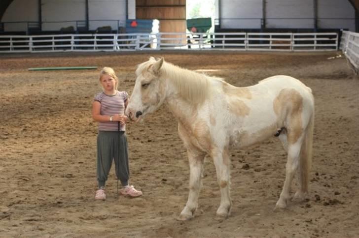 Anden særlig race Icey<33 ( rider ) - så er Icey godt træt efter en ridetime q: billede 3