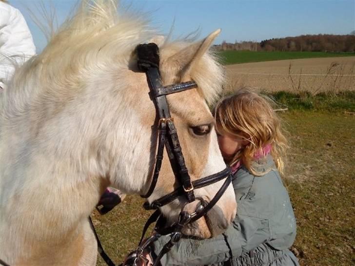 Anden særlig race Icey<33 ( rider ) - de bedste venner (Julie og Icey) billede 5