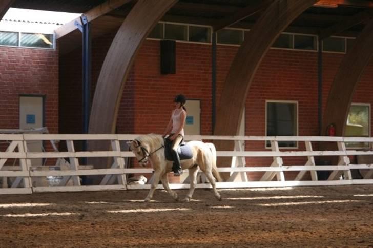 Anden særlig race Icey<33 ( rider ) billede 6