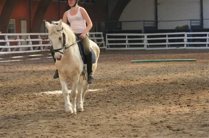 Anden særlig race Icey<33 ( rider ) - ja vi prøvede at lave schenkelvigninger men det gik ik så godt q: billede 8