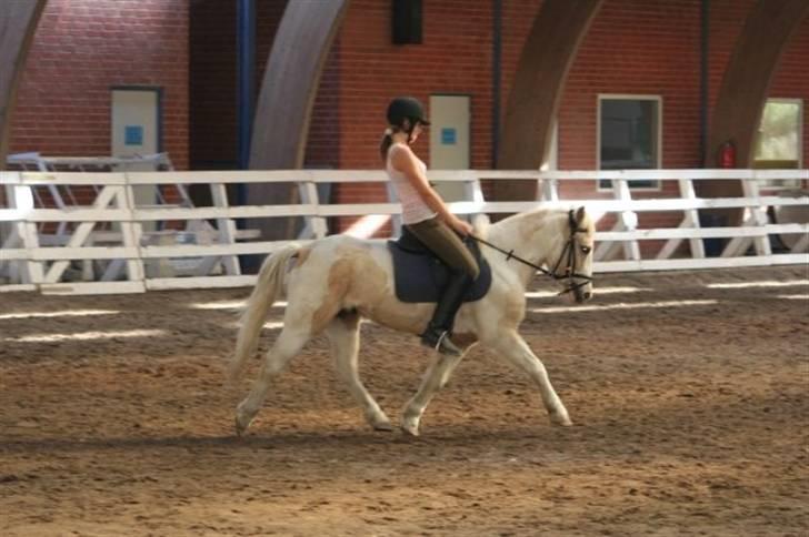 Anden særlig race Icey<33 ( rider ) - der ser så fedt ud ! :D billede 9