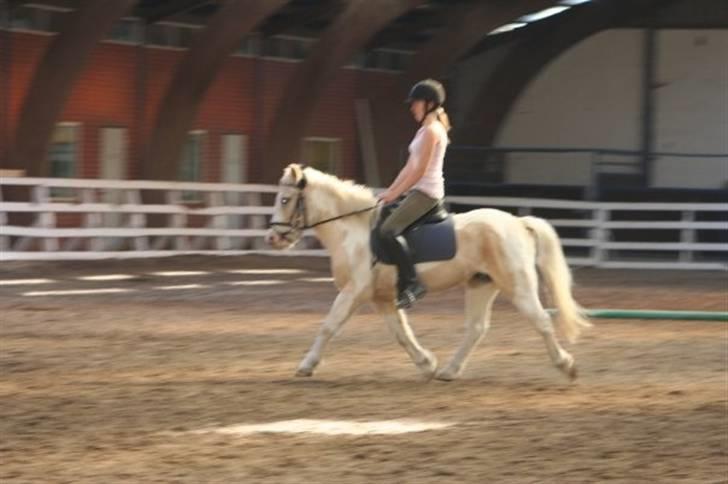 Anden særlig race Icey<33 ( rider ) billede 10