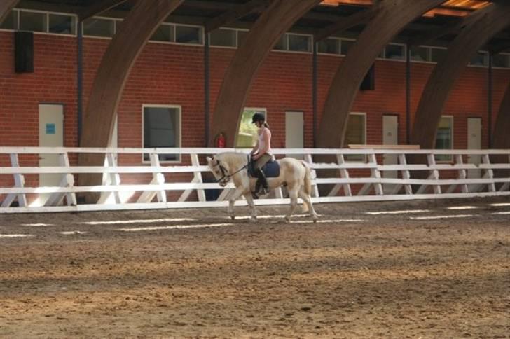 Anden særlig race Icey<33 ( rider ) billede 11