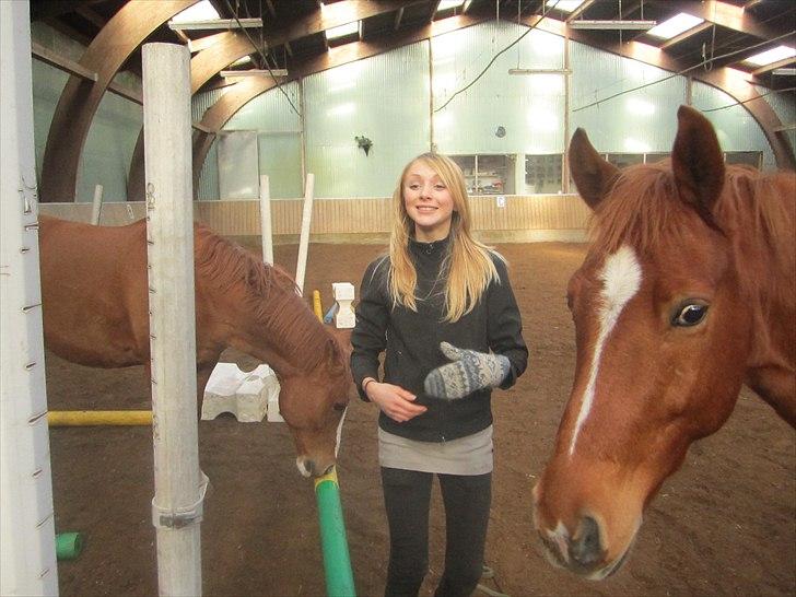 Anden særlig race Lykkensprøves Milano - Han ser så sød ud på det billede :´) billede 8