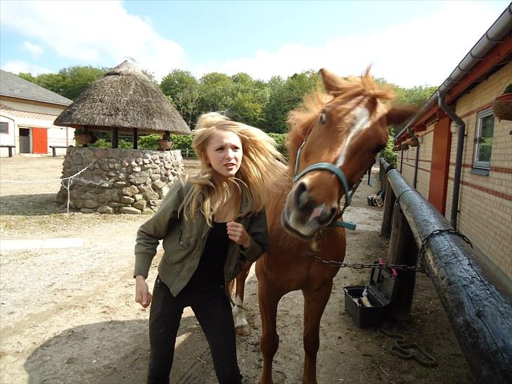 Anden særlig race Lykkensprøves Milano billede 11